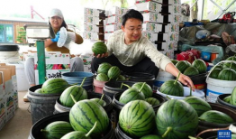 长春最新吃瓜事件爆料新闻,揭秘幕后真相，网络热议事件全解析