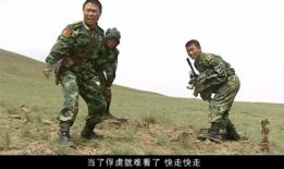 军旅电视剧大全,电视剧大全中的热血传奇